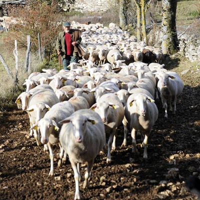 Agro-pastoralisme dans le PNC