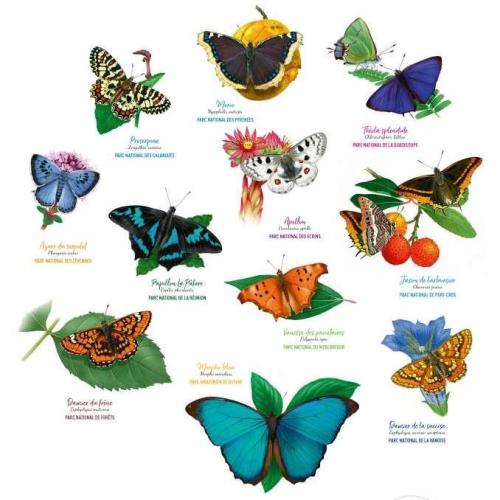 Lithographie « La galerie du vivant » / Les papillons © OFB, les parcs nationaux de France, GMF, Terre Sauvage