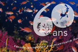 Affiche pour les 60 ans du Parc national de Port-Cros
