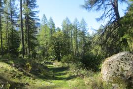 Parc national des Ecrins © Marie Thomas - OFB