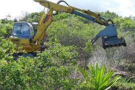 Projet Life+ Corexerun © Parc national de la Réunion