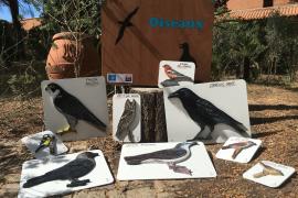 Mallette pédagogique "Découverte des oiseaux" à Porquerolles © Céline Obadia - Parc national de Port-Cros