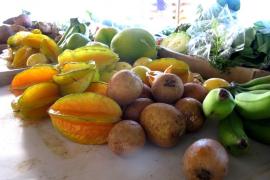Panier de fruit du Parc national de Guadeloupe © DR PNG