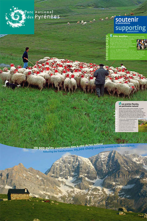 soutenir-le-pastoralisme-parc-national-des-pyrenees_imagelarge.jpg
