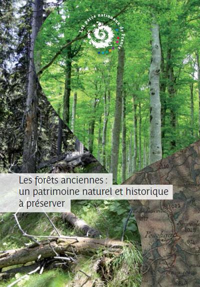 vignette_brochure_forets_anciennes.jpg