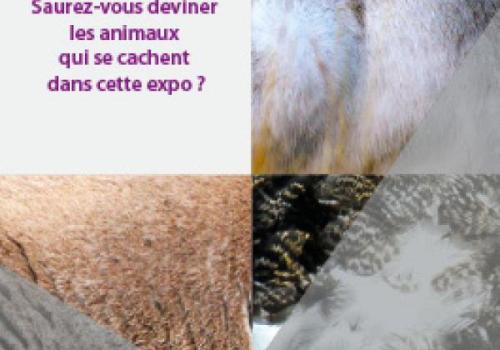 expo_maison_brianconnais.jpg
