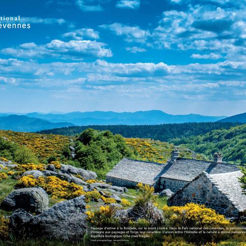 Paysage PN Cévennes