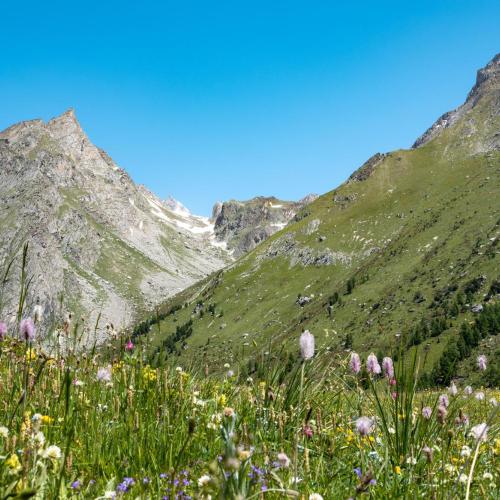 Vallon de l’Orgère © Céline Rutten-Parc national de la Vanoise