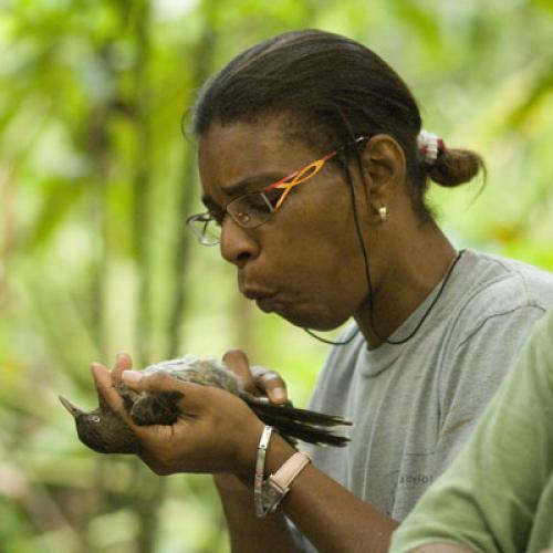 guadeloupe2_1.jpg