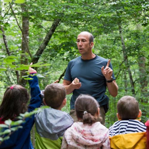 bd_pnf_balade_dans_le_parc_national_de_forets_-_maison_de_la_foret_c_celine_lecomte_-_ofb.jpg