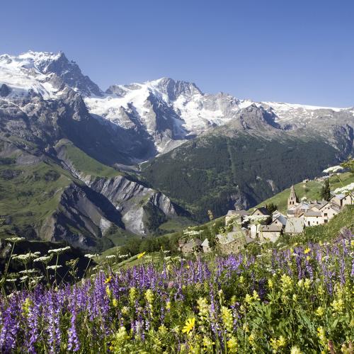 les_hieres_p._saulay_parc_national_des_ecrins_web.jpg