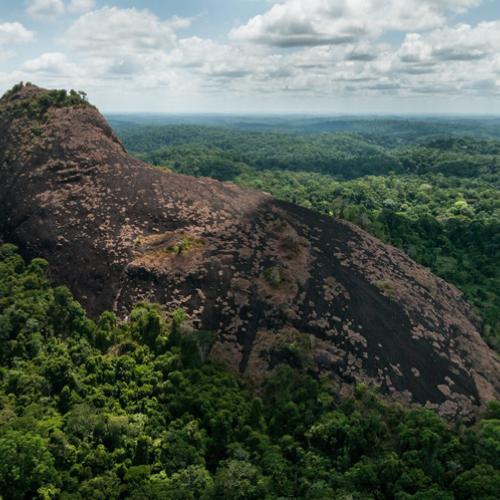 parc-amazonien-guillaume-feuillet.jpg