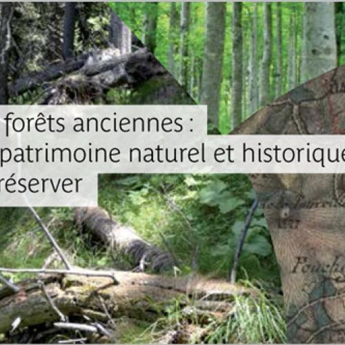 publication-forets-anciennes-afb-pnf.jpg