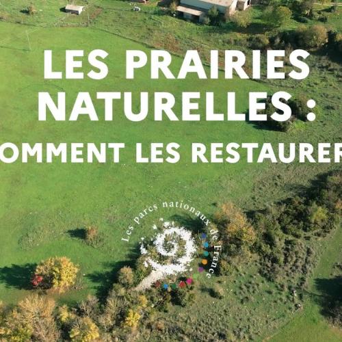 La restauration des prairies naturelles - Paroles d'acteurs