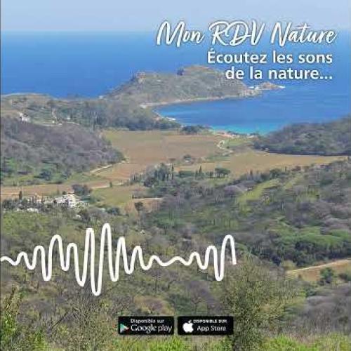 Immersion sonore au Parc national de Port-Cros
