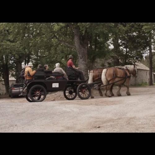 Balade en calèche dans les Cévennes