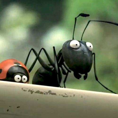 Bande-annonce du film Minuscule ou la vallée des fourmis perdues
