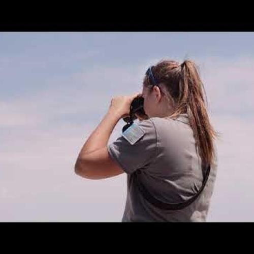 Présentation du Parc national des Calanques