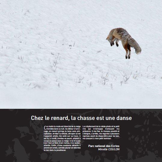 Le loup  Portail des parcs nationaux de France