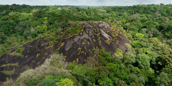 inselberg-dans-la-vallee-de-l-oyapock_imagelarge.jpg