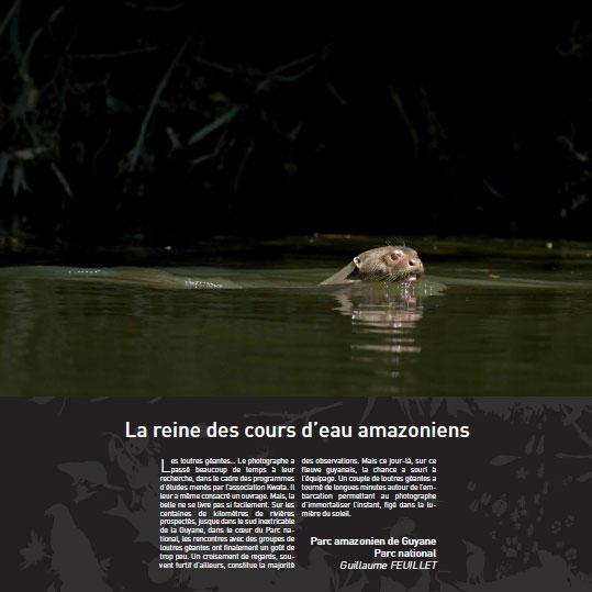 la-reine-des-cours-d-eau-amazoniens_imagelarge.jpg