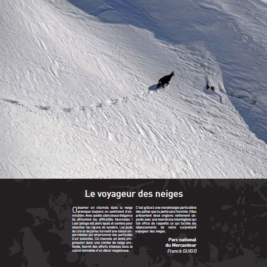 le-voyageur-des-neiges_imagelarge.jpg