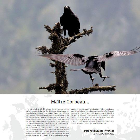 maitre-corbeau_imagelarge.jpg