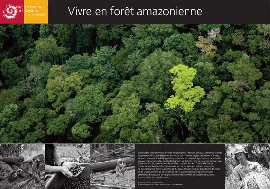 parc-amazonien-de-guyane-vivre-en-foret-amazonienne_imagelarge.jpg