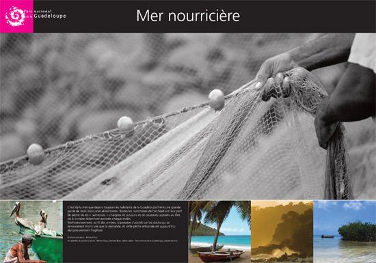 parc-national-de-guadeloupe-mer-nourriciere_imagelarge.jpg