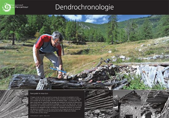 parc-national-du-mercantour-dendrochronologie_imagelarge.jpg