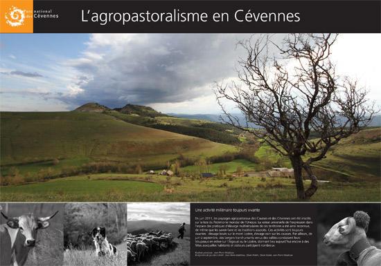 parc-naturel-des-cevennes-l-agropastoralisme-en-cevennes_imagelarge.jpg