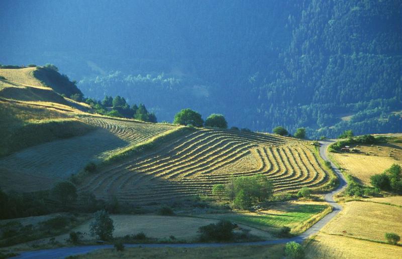 prairies_de_fauche_ccorail_marc_-_parc_national_des_ecrins.jpg