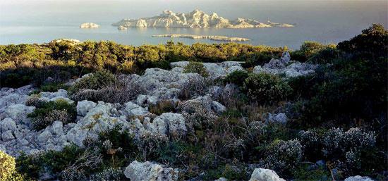 riou-du-plateau-de-l-homme-mort_imagelarge.jpg