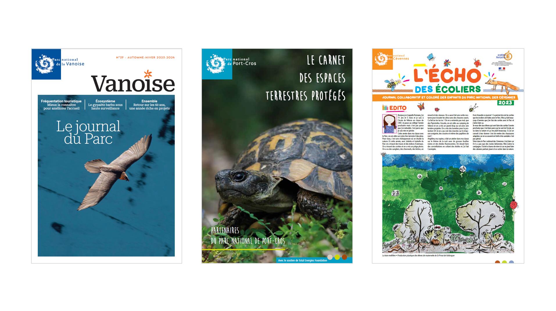 publications novembre