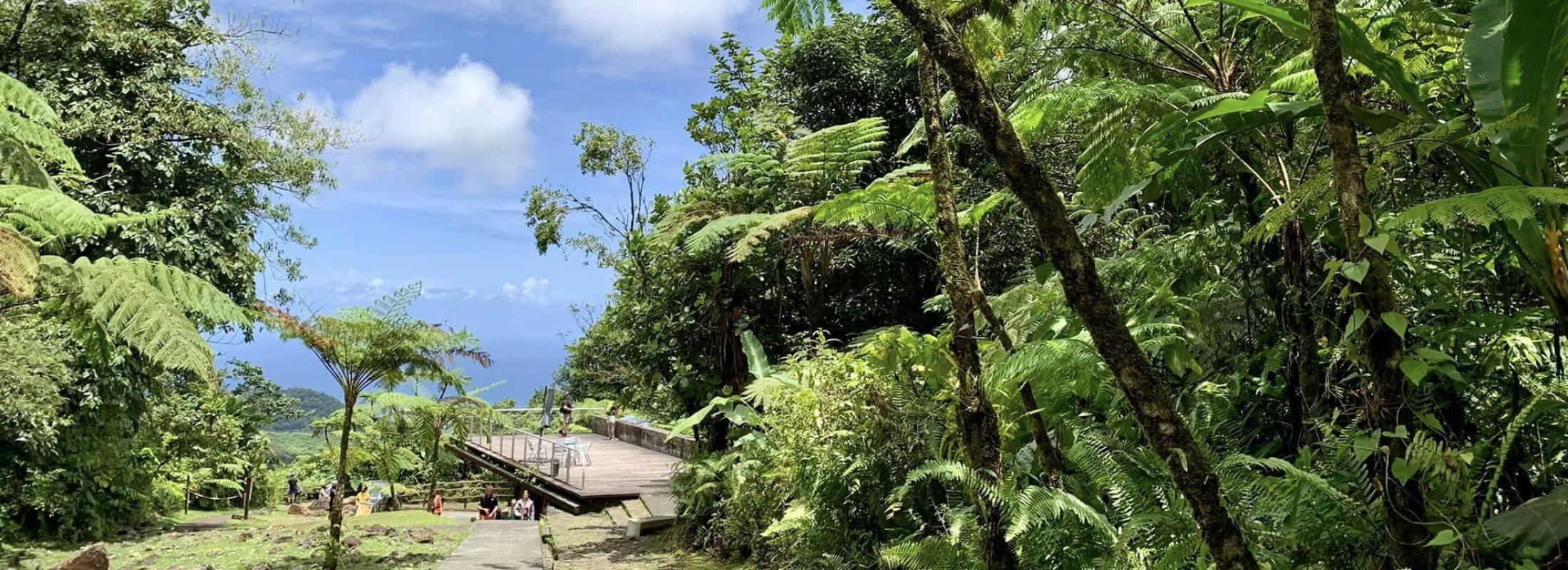 Chutes du carbet au PNG