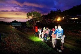 A la Réunion, les habitants de Dos d'Âne suivent une balade nocturne de sensibilisation à la sobriété lumineuse