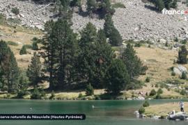 Image issue du reportage de France info