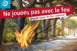 bd_pnpc_risque_incendie_c_dr_parc_national_de_port-cros.jpg