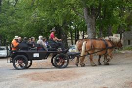 parc_national_des_cevennes_balade_en_caleche_accessible_s._corporon-afb.jpg
