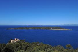 ile-de-bagaud-vu-du-fort-de-l-estissac.jpg