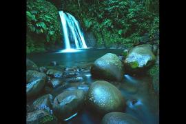 la-cascade-aux-ecrevisses_imagelarge.jpg