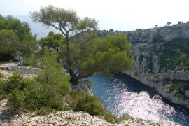 pncalanques_calanque_den_vau_cjean-marie_petit.jpg