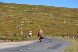 randonneurs_mont-lozere_-_credit_photo_catherine_vambairgue_pnc.jpg