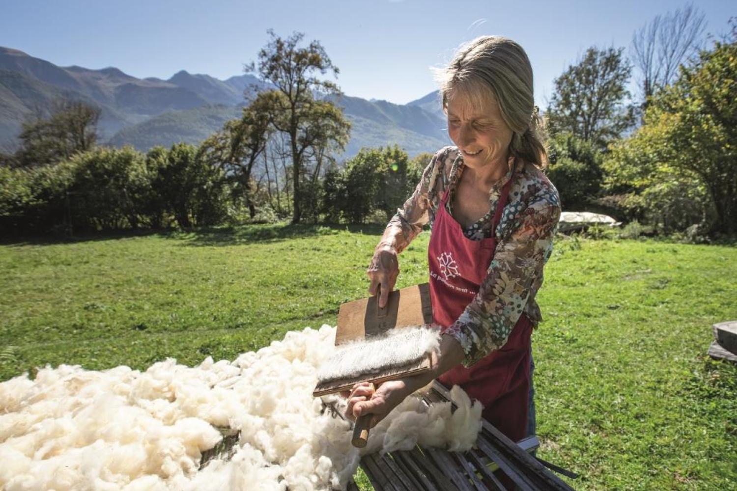 Laine en Sy © Pierre Meyer - AE Médias - Parc national des Pyrénées