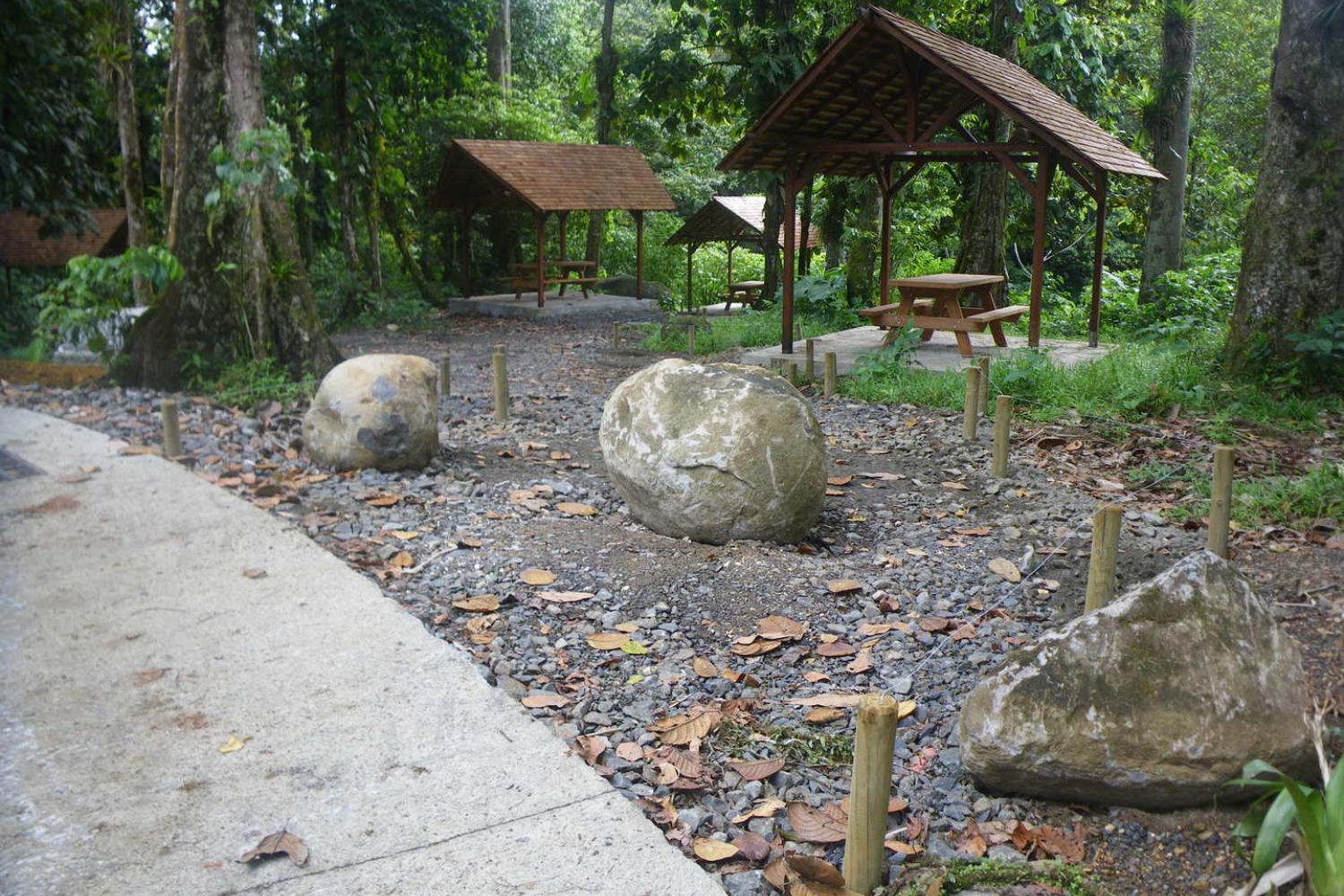 Aire de pique-nique de Corossol © DR Parc national de la Guadeloupe