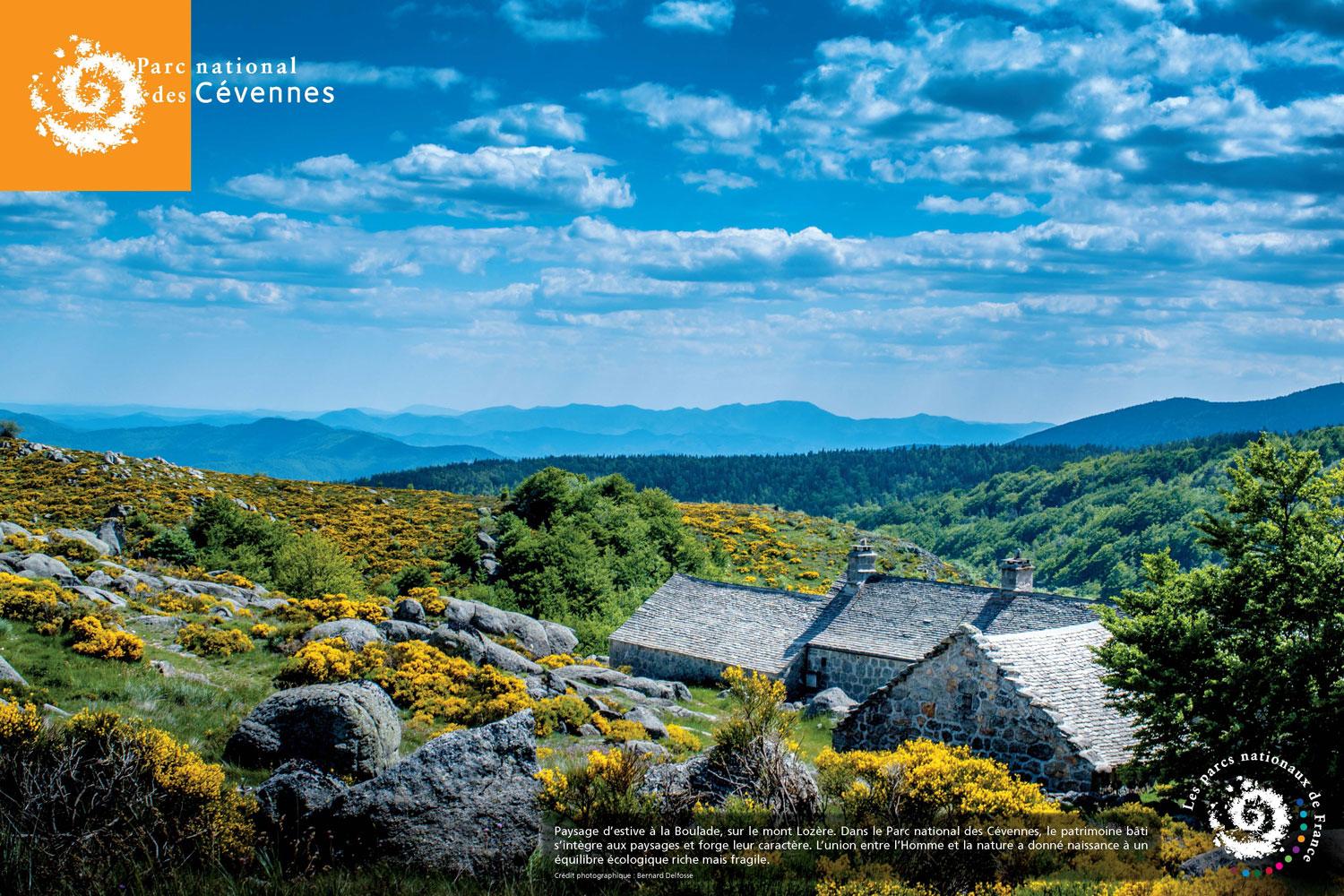 Paysage PN Cévennes