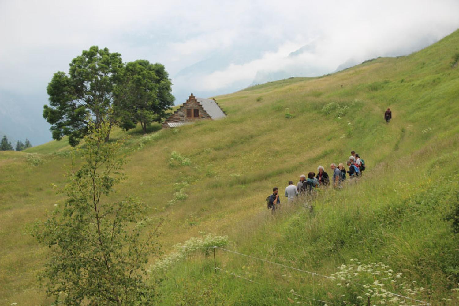 Visite de terrain de la Commission scientifique des Parcs nationaux au PNP