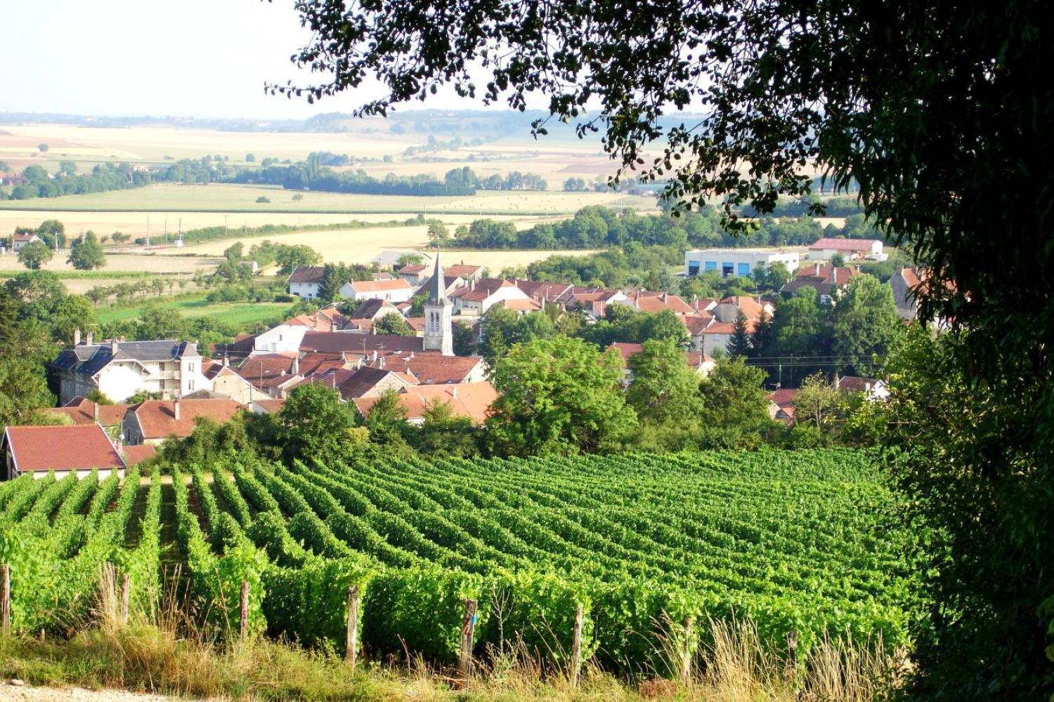 Vue sur le Domaine Muid Montsaugeonnais