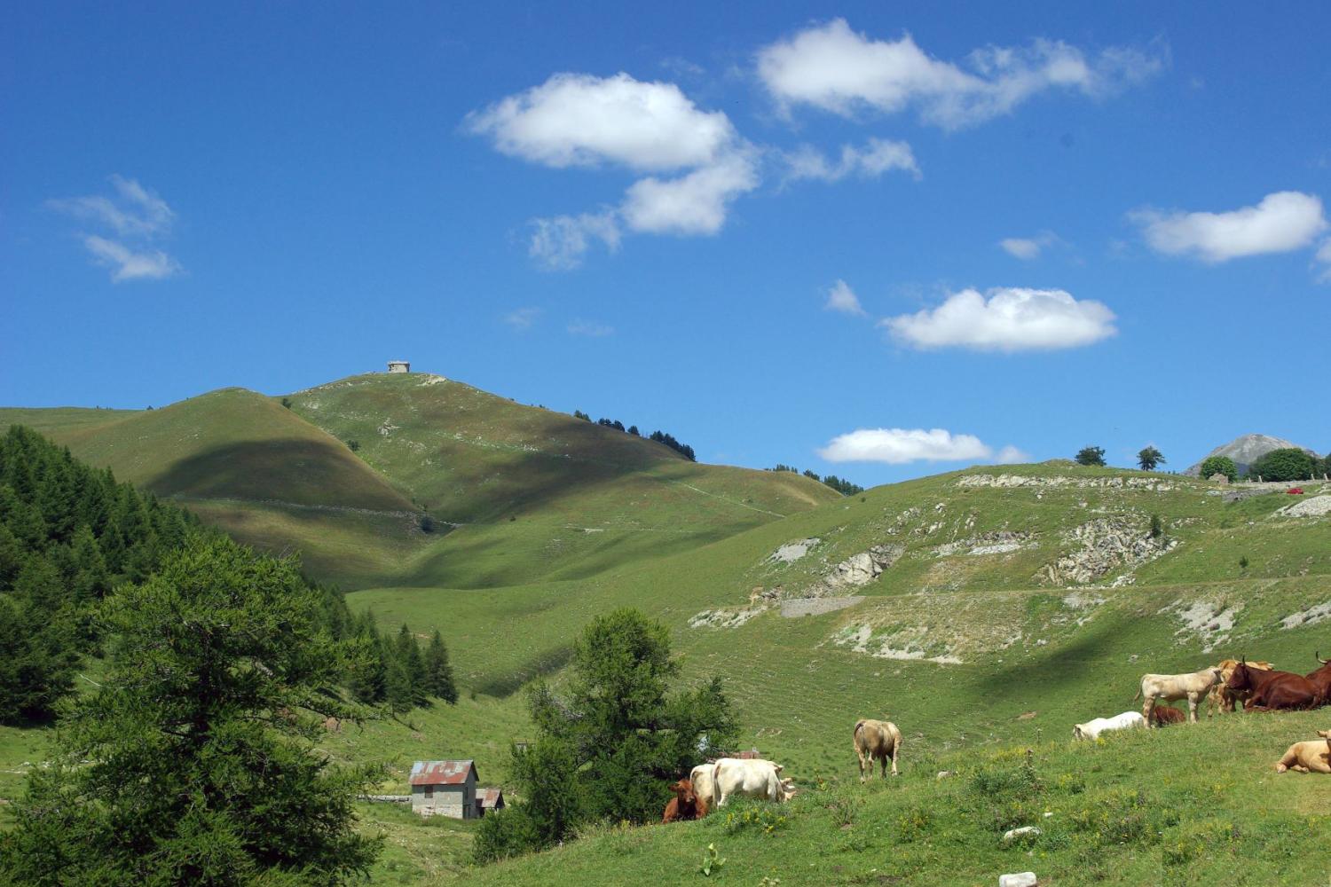 Authion © Jean-Marie Cevasco - Parc national du Mercantour