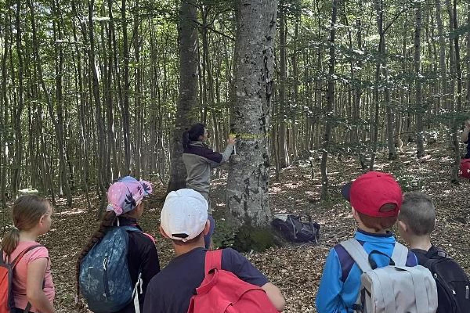 Journée pédagogique et inclusive sur le massif de l’Aigoual © Eléonore Solier – Parc national des Cévennes 